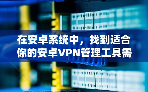 在安卓系统中，找到适合你的安卓VPN管理工具需要根据你的使用场景和需求进行选择。以下是对几个主要选项的详细介绍和建议