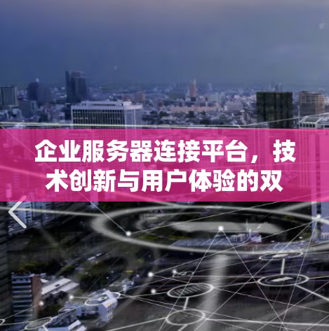 企业服务器连接平台，技术创新与用户体验的双轮驱动