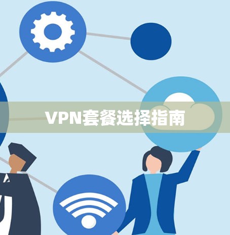VPN套餐选择指南