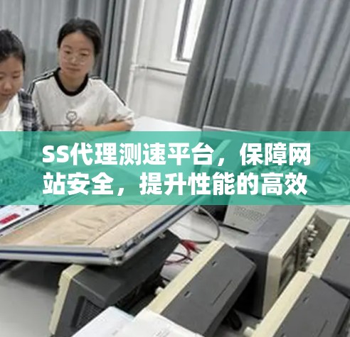 SS代理测速平台，保障网站安全，提升性能的高效解决方案