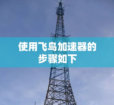 使用飞鸟加速器的步骤如下