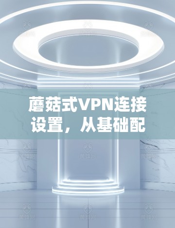 蘑菇式VPN连接设置，从基础配置到高级管理