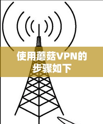 使用蘑菇VPN的步骤如下