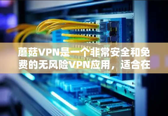 蘑菇VPN是一个非常安全和免费的无风险VPN应用，适合在多个地点使用互联网。以下是下载和使用的简单步骤