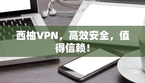 西柚VPN，高效安全，值得信赖！