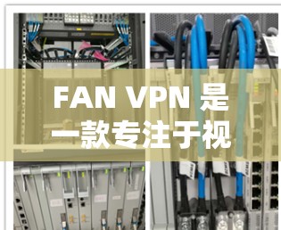 FAN VPN 是一款专注于视频会议和远程协作的VPN工具，旨在帮助用户更有效地进行视频通话、文件同步和实时会议。为了评测 FAN VPN 的性能，我进行了以下步骤的分析和总结