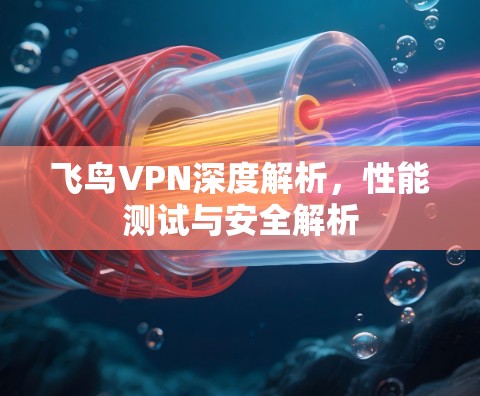 飞鸟VPN深度解析，性能测试与安全解析