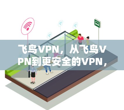 飞鸟VPN，从飞鸟VPN到更安全的VPN，你的选择