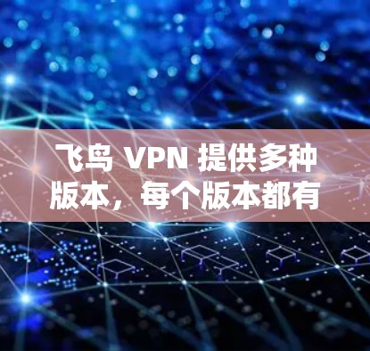 飞鸟 VPN 提供多种版本，每个版本都有其独特的特点和适用场景，以下是详细的版本介绍