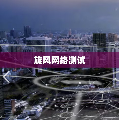 旋风网络测试