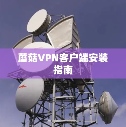 蘑菇VPN客户端安装指南