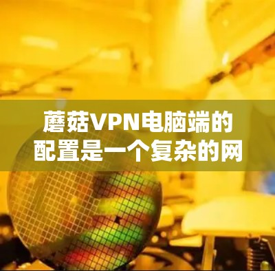 蘑菇VPN电脑端的配置是一个复杂的网络操作，但通过逐步学习和实践，可以掌握其基本步骤和技巧。以下是详细的步骤指南