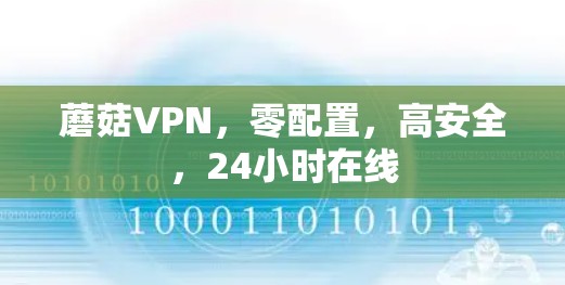 蘑菇VPN，零配置，高安全，24小时在线