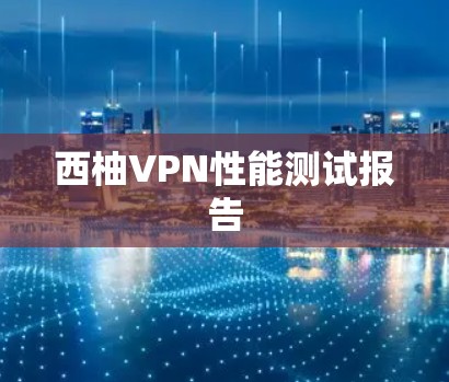 西柚VPN性能测试报告