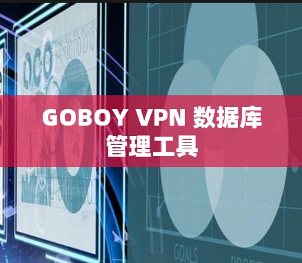 GOBOY VPN 数据库管理工具