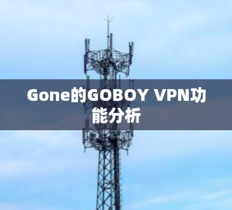Gone的GOBOY VPN功能分析
