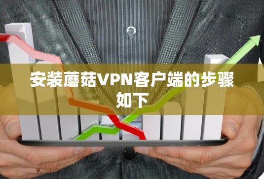 安装蘑菇VPN客户端的步骤如下