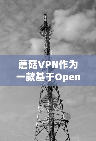 蘑菇VPN作为一款基于OpenVPN协议的VPN服务，提供了强大的加密、数据同步、流媒体和过滤功能，适合需要高安全性和多平台访问的用户。然而，由于其价格和用户基数有限，可能限制了其普及度和市场影响力