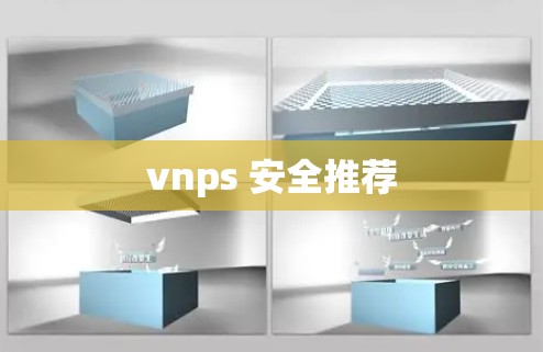 vnps 安全推荐
