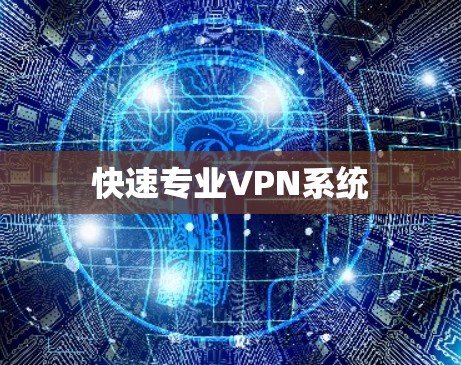 快速专业VPN系统