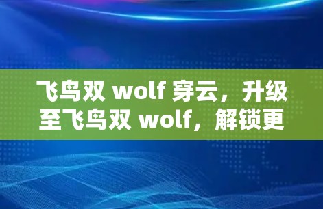 飞鸟双 wolf 穿云，升级至飞鸟双 wolf，解锁更强大的VPN体验