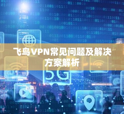 飞鸟VPN常见问题及解决方案解析