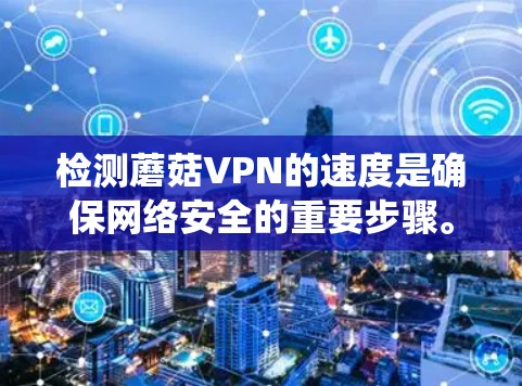 检测蘑菇VPN的速度是确保网络安全的重要步骤。以下是一个系统化的指南，帮助您有效地检测和优化蘑菇VPN的性能