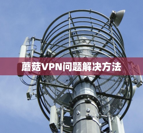 蘑菇VPN问题解决方法