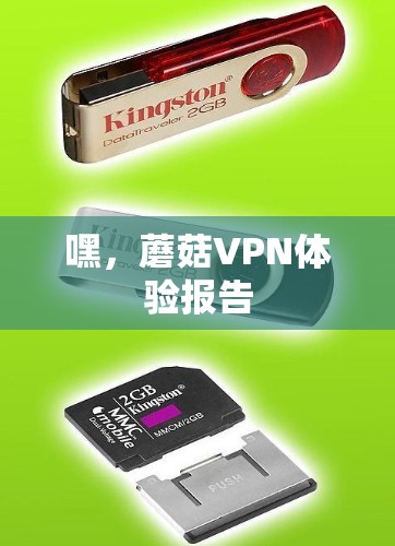 嘿，蘑菇VPN体验报告