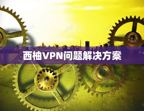 西柚VPN问题解决方案