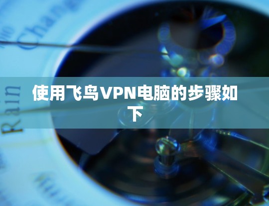 使用飞鸟VPN电脑的步骤如下
