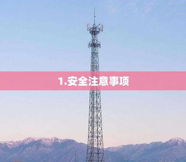 1.安全注意事项