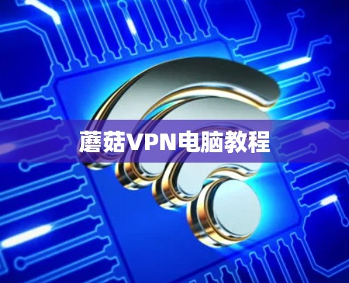蘑菇VPN电脑教程
