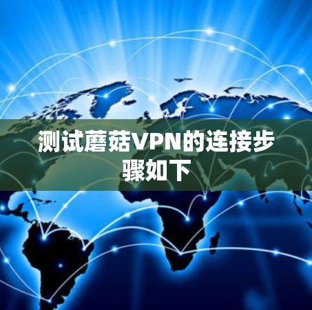 测试蘑菇VPN的连接步骤如下