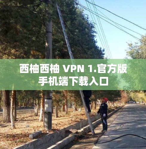 西柚西柚 VPN 1.官方版手机端下载入口
