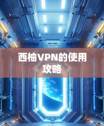 西柚VPN的使用攻略