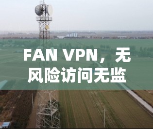 FAN VPN，无风险访问无监控的网络VPN