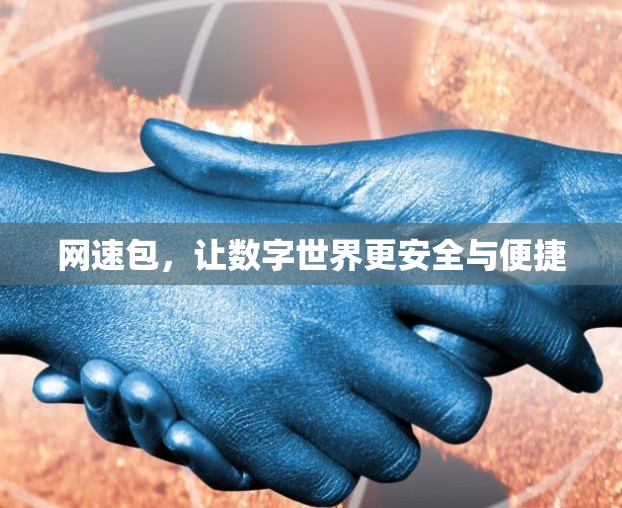 网速包，让数字世界更安全与便捷