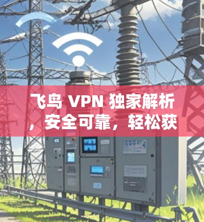 飞鸟 VPN 独家解析，安全可靠，轻松获取世界网络