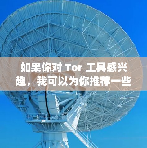 如果你对 Tor 工具感兴趣，我可以为你推荐一些其他基于 Tor 的 VPN 工具，比如 OpenVPN 或 TunnelVpn。这些工具可能更适合你的需求