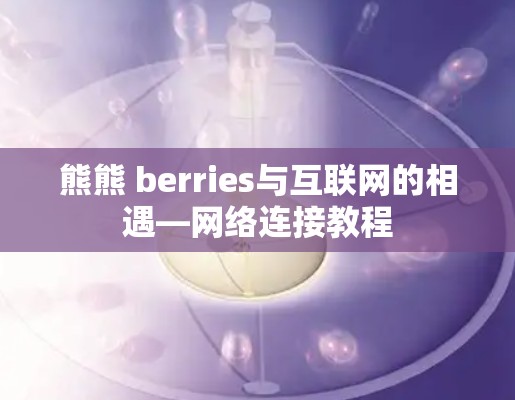 熊熊 berries与互联网的相遇—网络连接教程