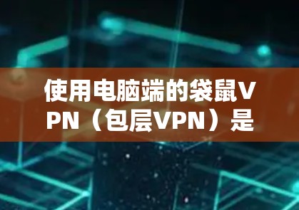 使用电脑端的袋鼠VPN（包层VPN）是一个比较方便的过程，以下是详细的步骤指南