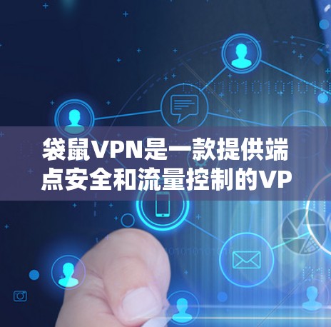 袋鼠VPN是一款提供端点安全和流量控制的VPN服务，旨在保护用户的数据和网络安全。以下是其主要功能的详细介绍