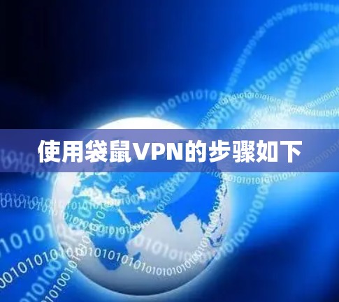 使用袋鼠VPN的步骤如下