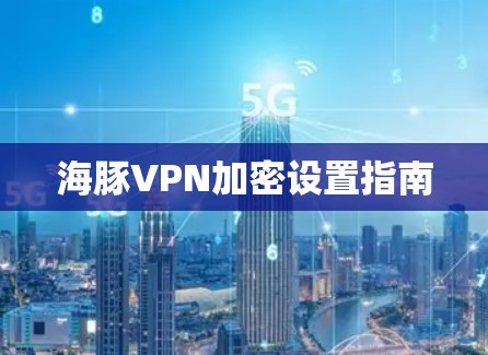 海豚VPN加密设置指南