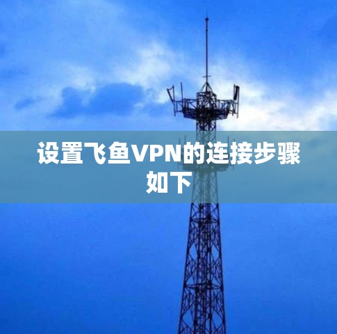 设置飞鱼VPN的连接步骤如下