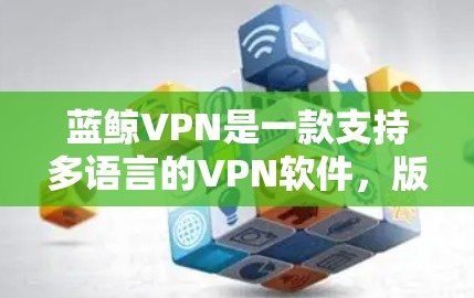蓝鲸VPN是一款支持多语言的VPN软件，版本为安卓版。以下是关于蓝鲸VPN安卓版本的详细介绍
