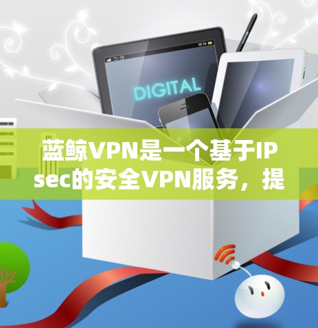 蓝鲸VPN是一个基于IPsec的安全VPN服务，提供了一个加密和安全的网络连接。以下是使用蓝鲸VPN的基本步骤和注意事项