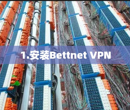 1.安装Bettnet VPN