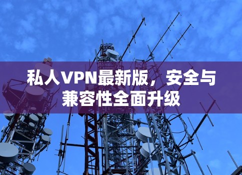 私人VPN最新版，安全与兼容性全面升级